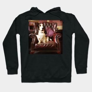 Bertie the Basset Hoodie